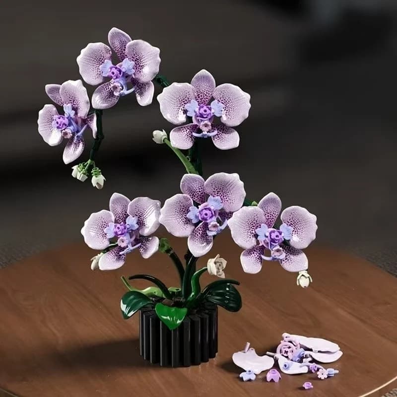 619 יחידות Phalaenopsis אבני בניין פרחים סחלב עציצים דגם סימולציה עיצוב בית ילדים פאזל צעצוע בנות מתנת יום הולדת
